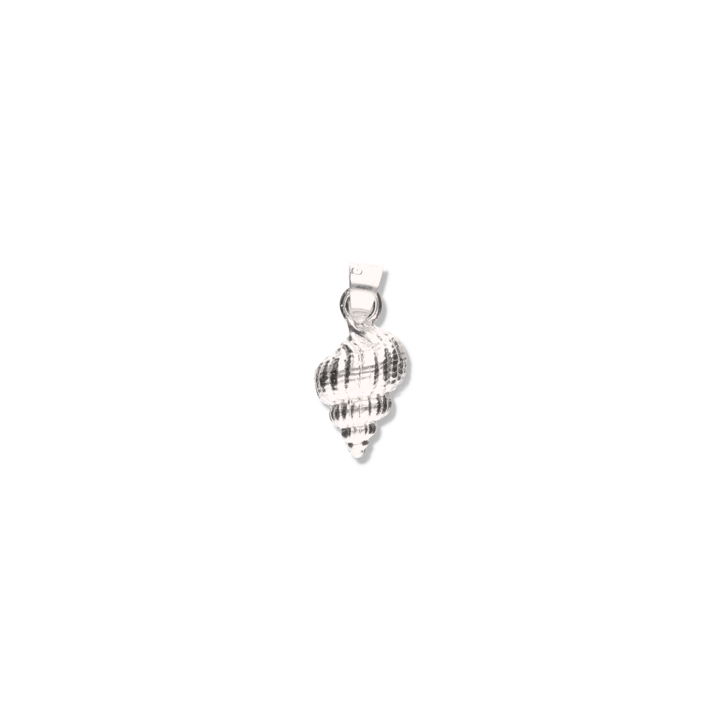 Caracol de Mar de Plata 925
