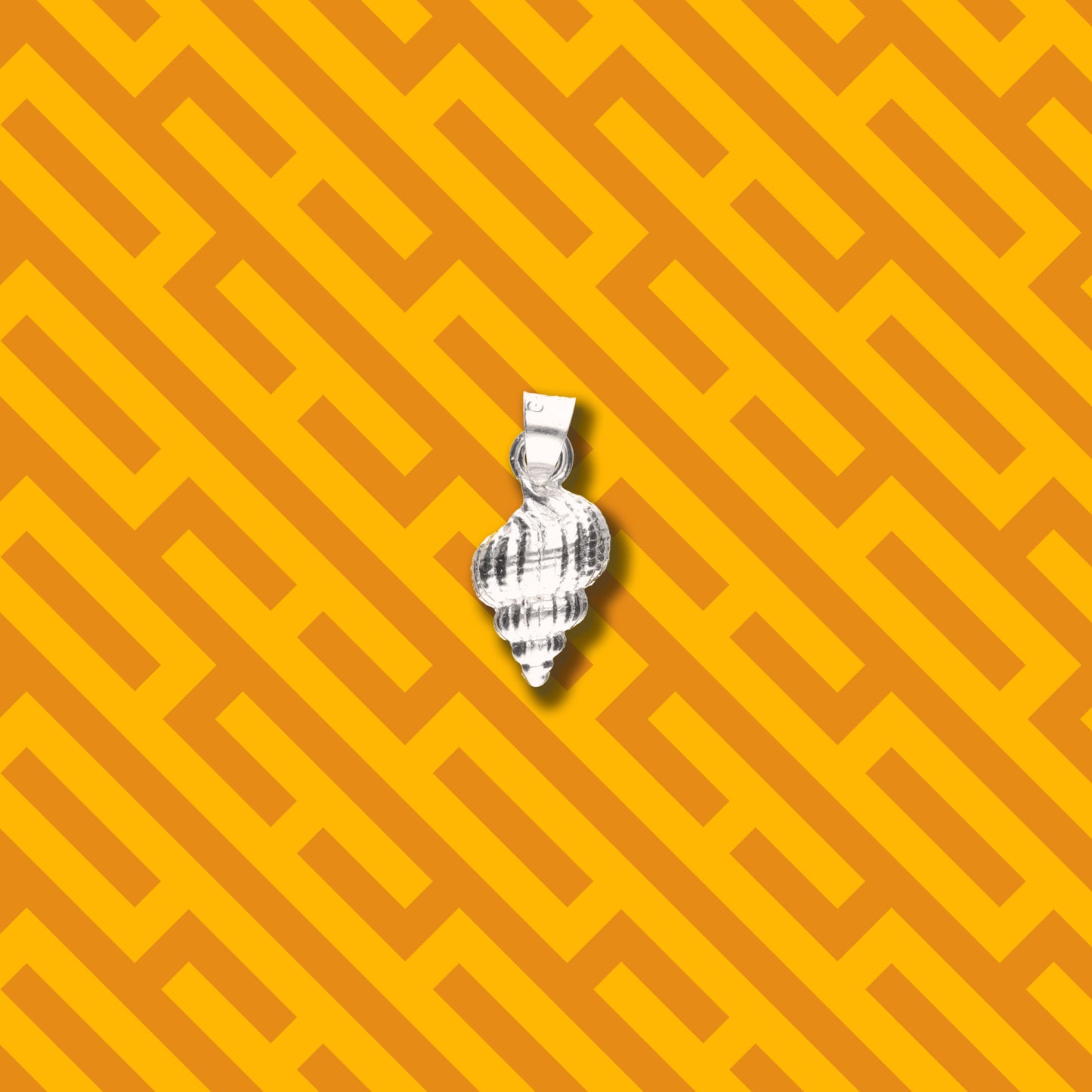 Caracol de Mar de Plata 925