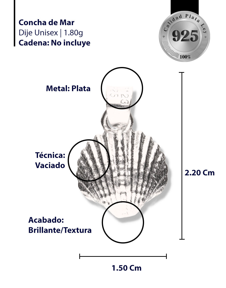 Concha de Mar de Plata 925