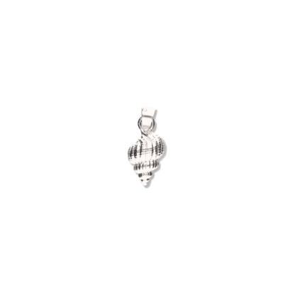 Caracol de Mar de Plata 925