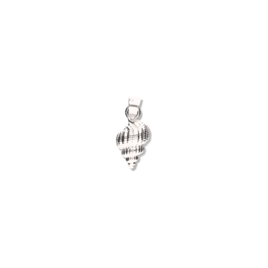 Caracol de Mar de Plata 925