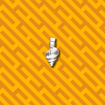 Caracol de Mar de Plata 925