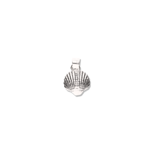 Concha de Mar de Plata 925