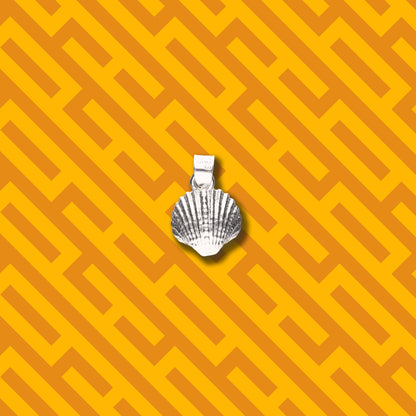 Concha de Mar de Plata 925