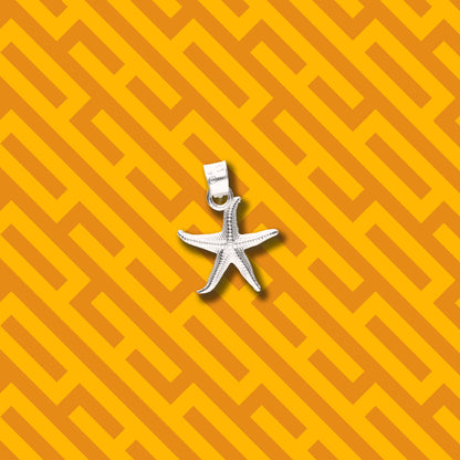 Estrella de Mar de Plata 925