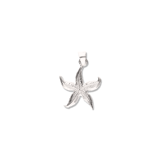 Estrella de Mar Grande de Plata 925